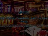 Misty-Casino-Tombala-Kart-ve-Cekilis-Akisi-overlay-1789986490.jpg